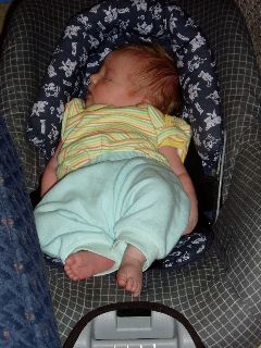 Asleep in the Car Seat